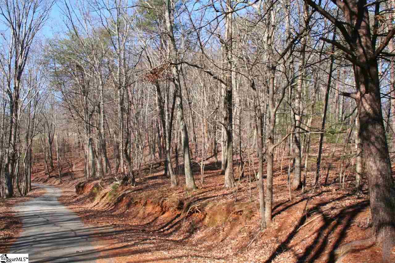 Prewette Hill Road Landrum, SC 29356 - Photo 3 of 25