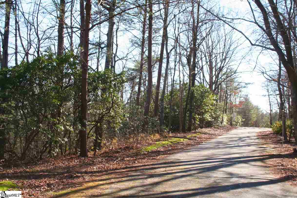 Prewette Hill Road Landrum, SC 29356 - Photo 4 of 25