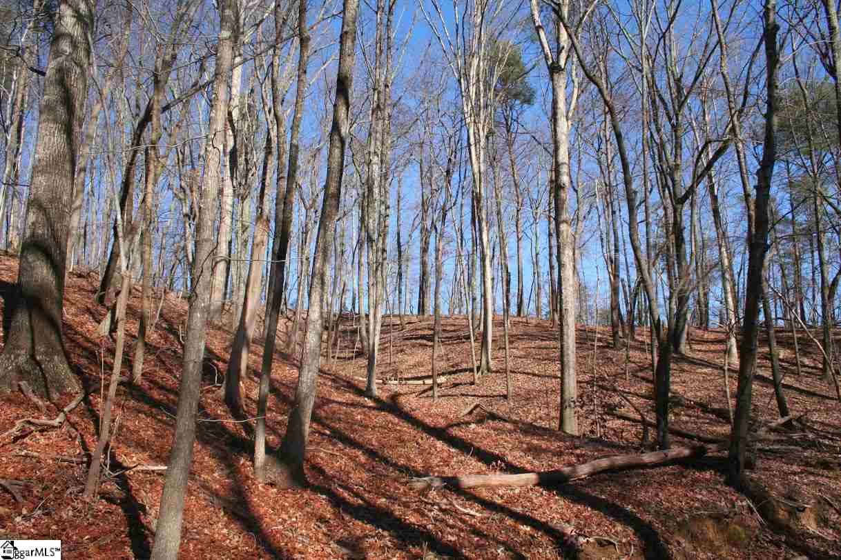Prewette Hill Road Landrum, SC 29356 - Photo 5 of 25