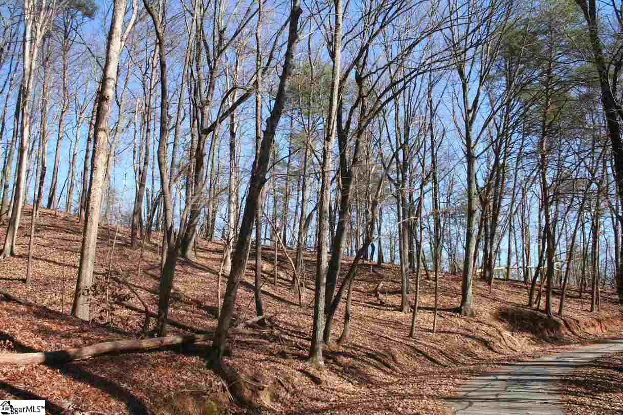Prewette Hill Road Landrum, SC 29356 - Photo 6 of 25