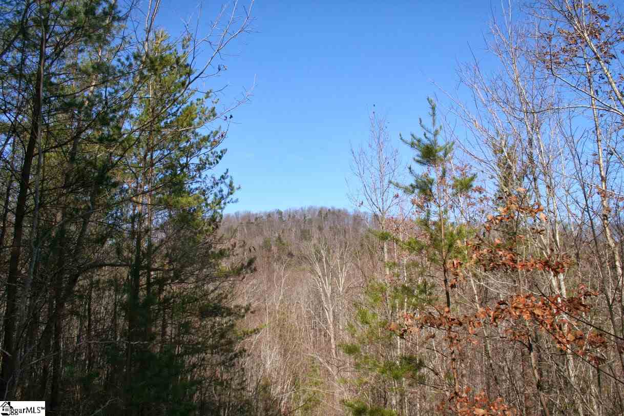 Prewette Hill Road Landrum, SC 29356 - Photo 7 of 25