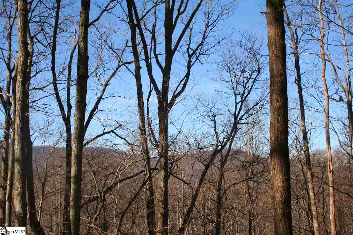 Prewette Hill Road Landrum, SC 29356 - Photo 10 of 25