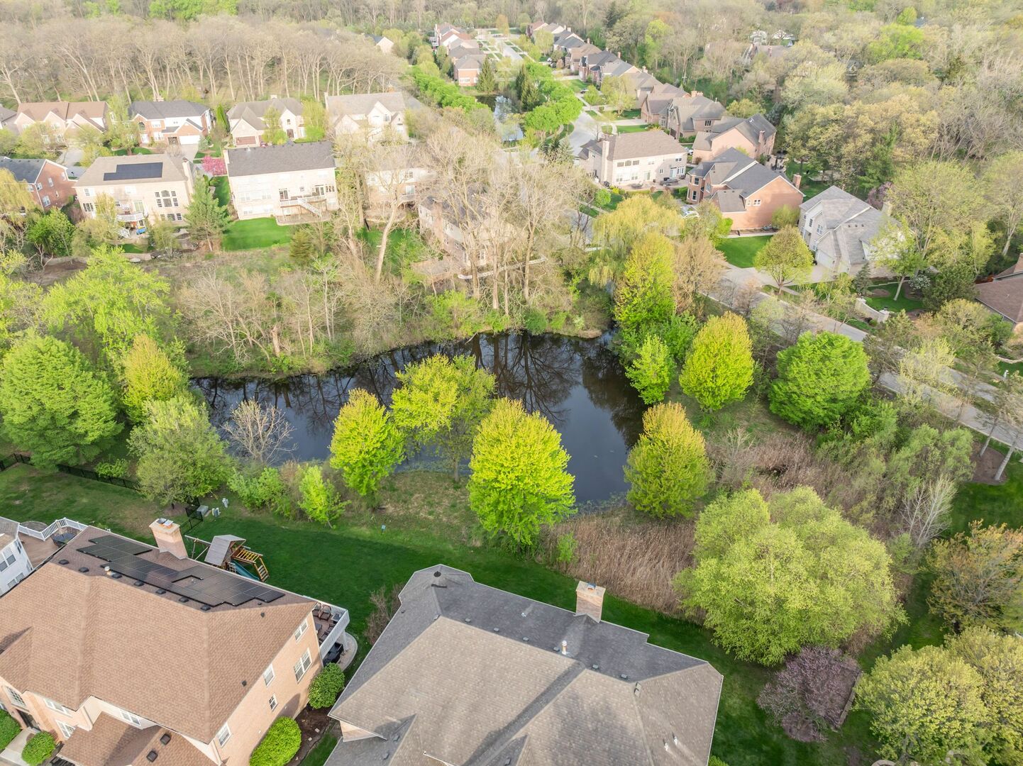 523 West Ruhl Road Palatine, IL 60074 - Photo 61 of 65