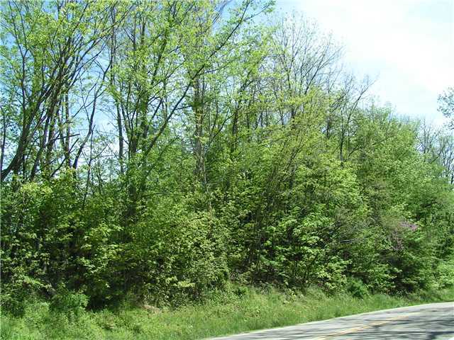 0 Julian Road Southwest Amanda, OH 43102 - Photo 2 of 7