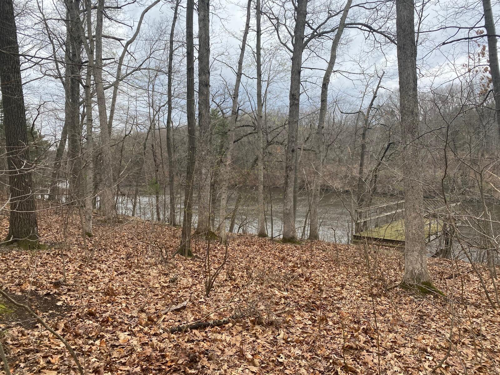 Vl Bridge Road Allegan, MI 49010 - Photo 2 of 13 VL Bridge Rd picture of dock