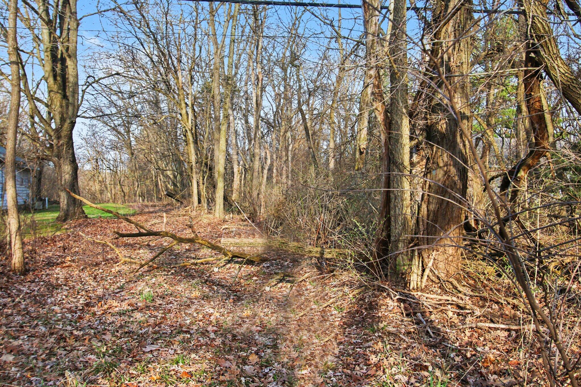 Vl Bridge Road Allegan, MI 49010 - Photo 8 of 13 007_file_8795
