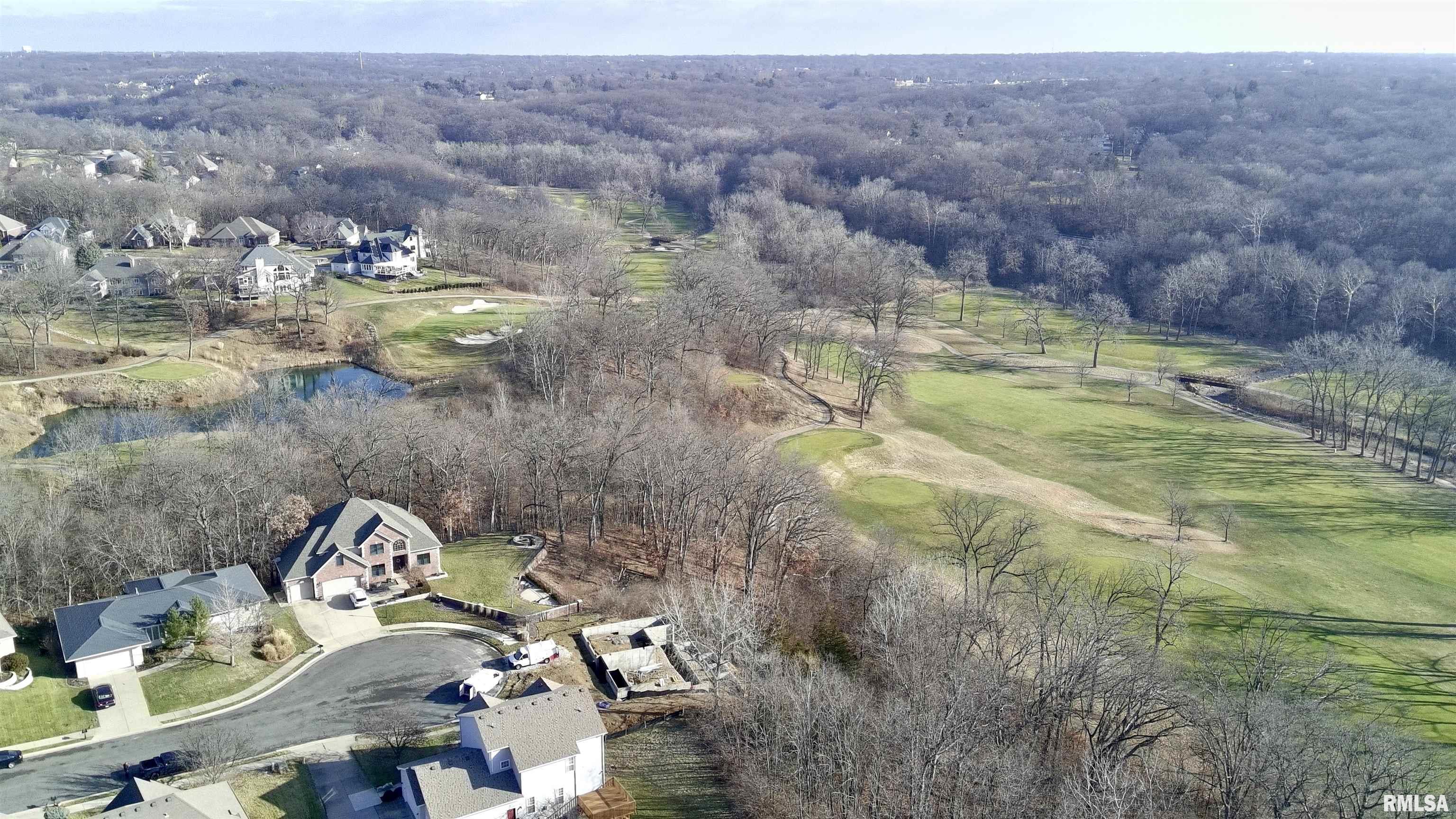 4100 Vistaridge Court Peoria, IL 61615 - Photo 8 of 11