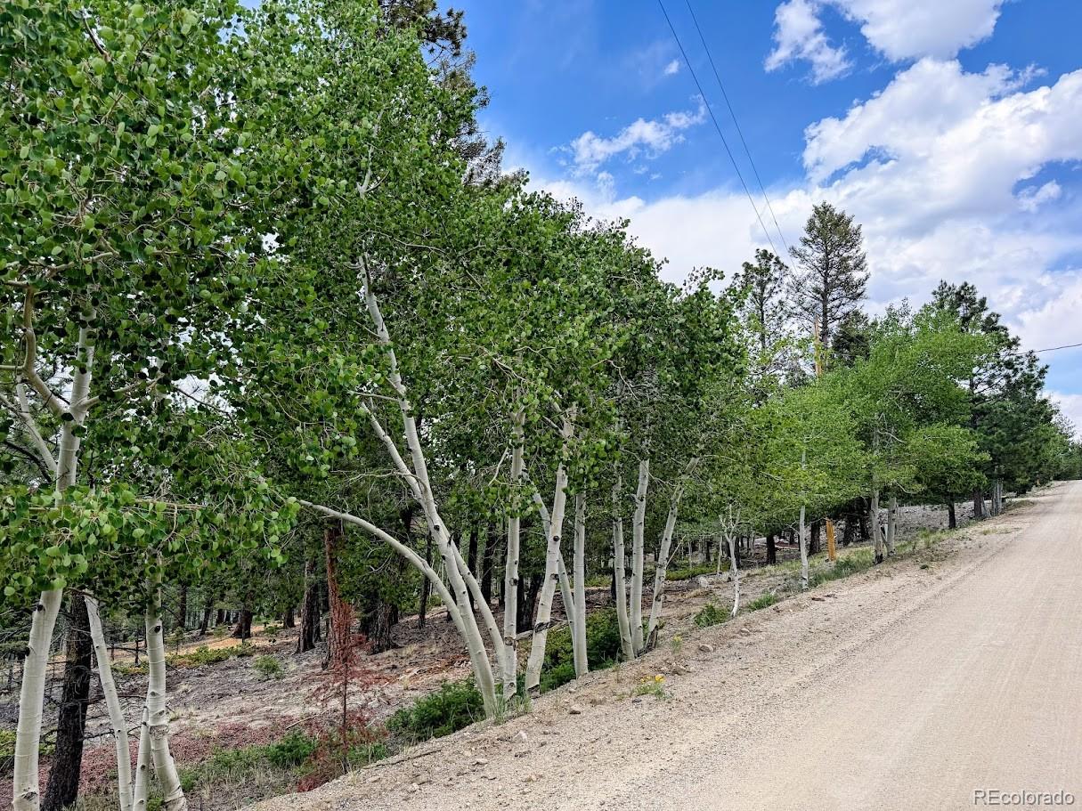 1789 Bellows Road Hartsel, CO 80449 - Photo 4 of 21