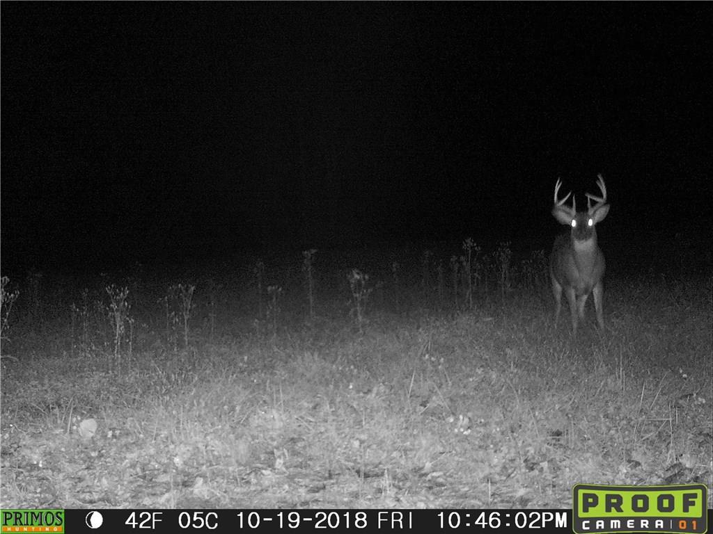 Tbd Sand Hill Road Poland, IN 47868 - Photo 4 of 9 Gallery Image 4
