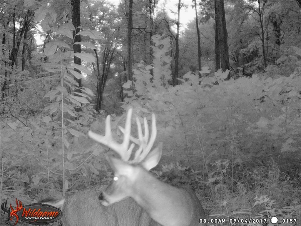 Tbd Sand Hill Road Poland, IN 47868 - Photo 8 of 9 Gallery Image 8