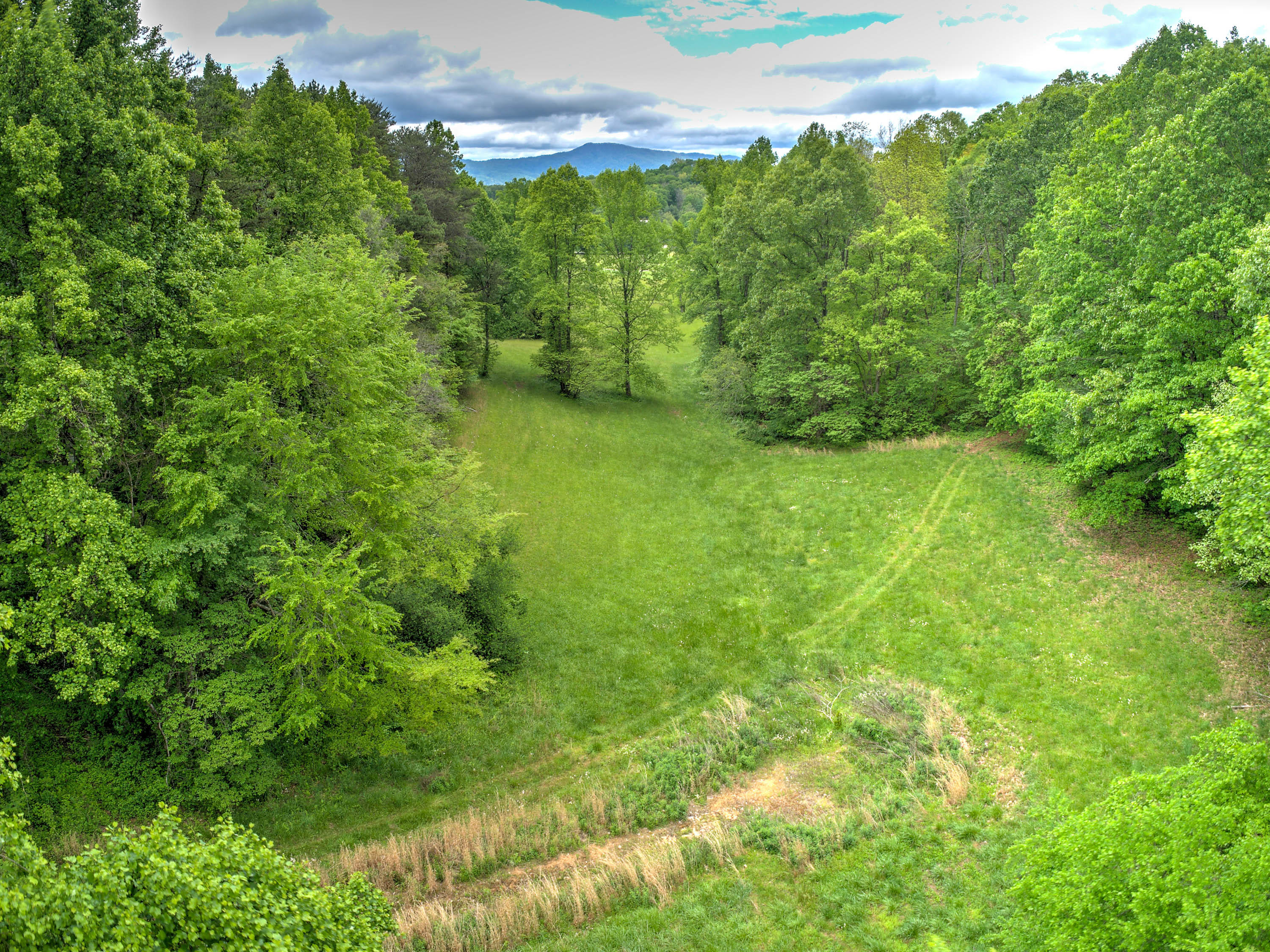 3116 Baileyton Road Greeneville, TN 37745 - Photo 54 of 56 3116 Old Baileyton Rd-23