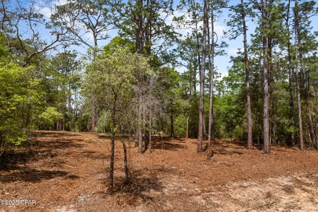 $17,500 | Lot 17 Dunford Circle, Chipley, FL 32428