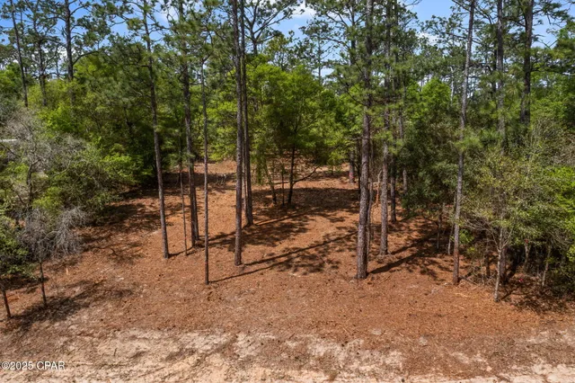 $17,500 | Lot 17 Dunford Circle, Chipley, FL 32428