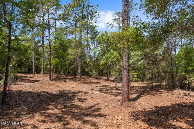 $17,500 | Lot 17 Dunford Circle, Chipley, FL 32428