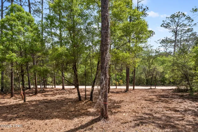 $17,500 | Lot 17 Dunford Circle, Chipley, FL 32428