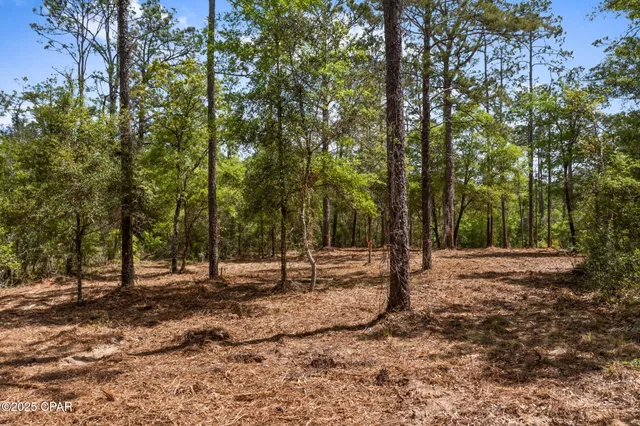 $17,500 | Lot 17 Dunford Circle, Chipley, FL 32428