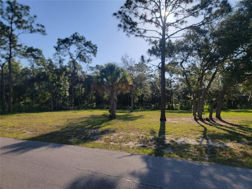 2075 South Colonial Avenue Homosassa, FL 34448 - Photo 5 of 5