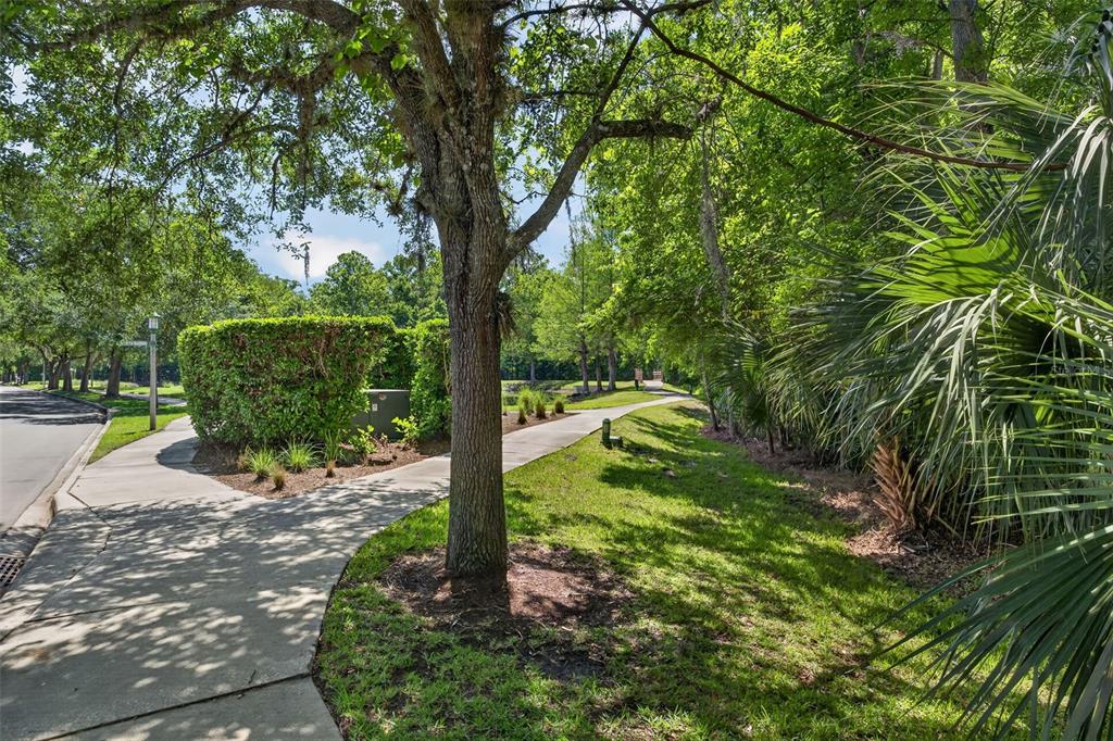 1003 Old Blush Road Celebration, FL 34747 - Photo 32 of 48