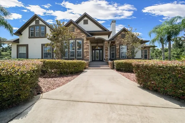 a view of a park with a large tree