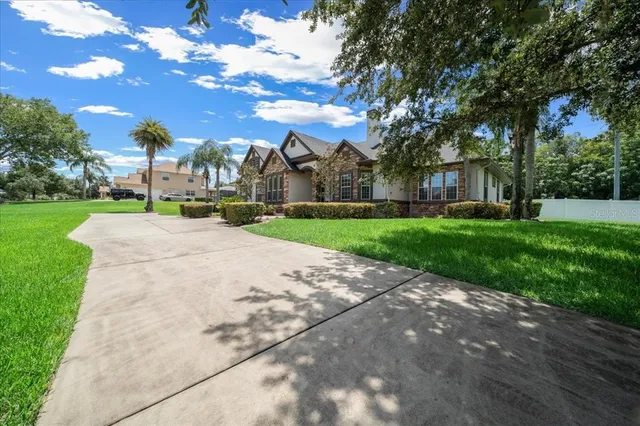 a view of road with grass and a lot of trees