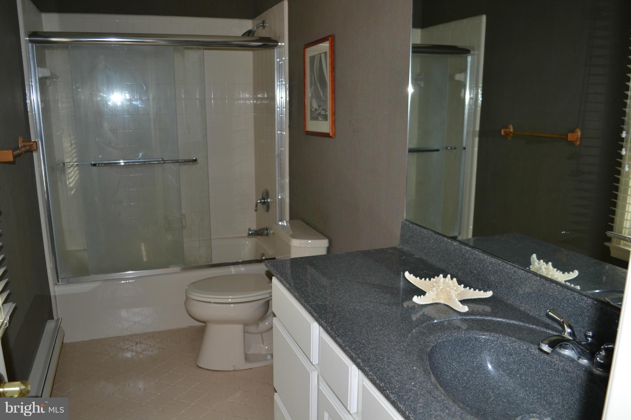 24859 Swan Road St. Michaels, MD 21663 - Photo 14 of 19 Bath