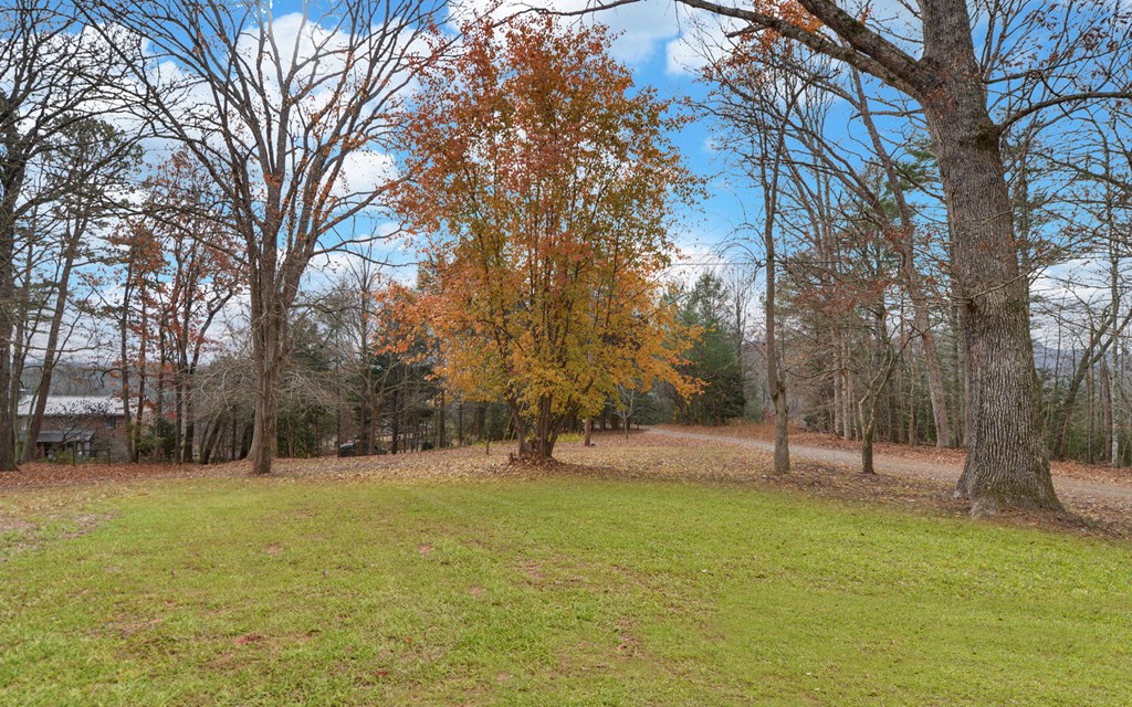 335 Elliott Road Murphy, NC 28906 - Photo 37 of 44 a backyard of a house with lots of green space