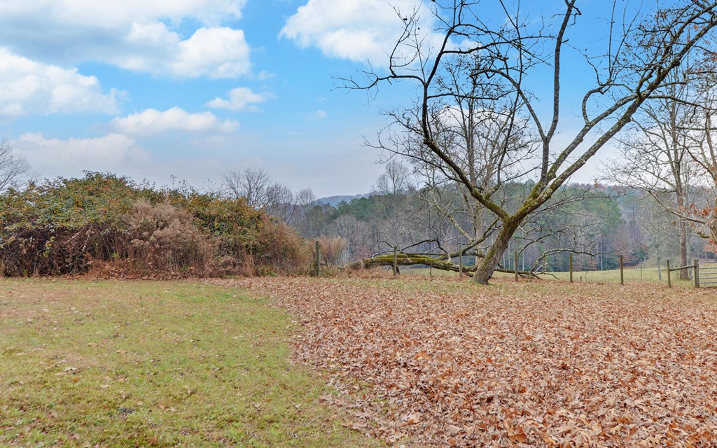 335 Elliott Road Murphy, NC 28906 - Photo 40 of 44 a backyard of a house with large trees