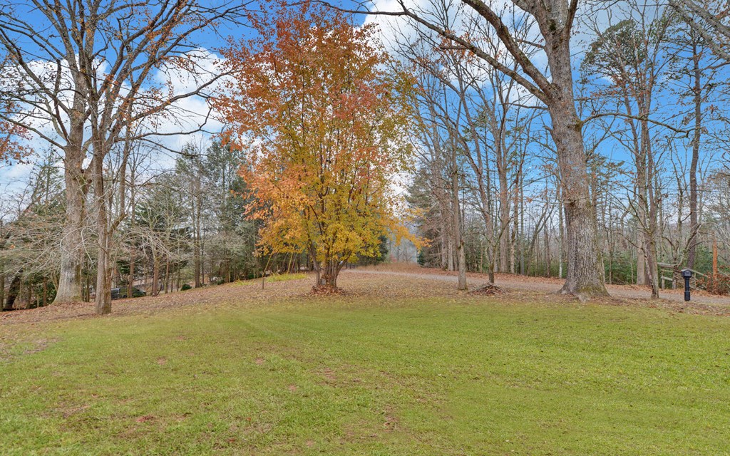 335 Elliott Road Murphy, NC 28906 - Photo 42 of 44 a backyard of apartments with large trees