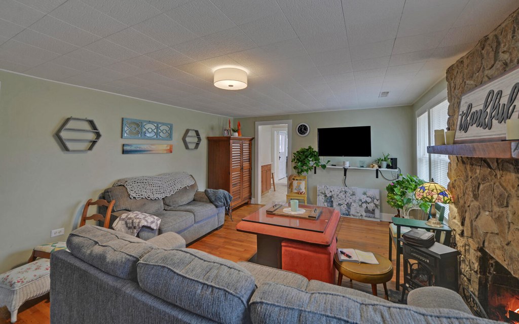 335 Elliott Road Murphy, NC 28906 - Photo 7 of 44 a living room with furniture a flat screen tv and a fireplace