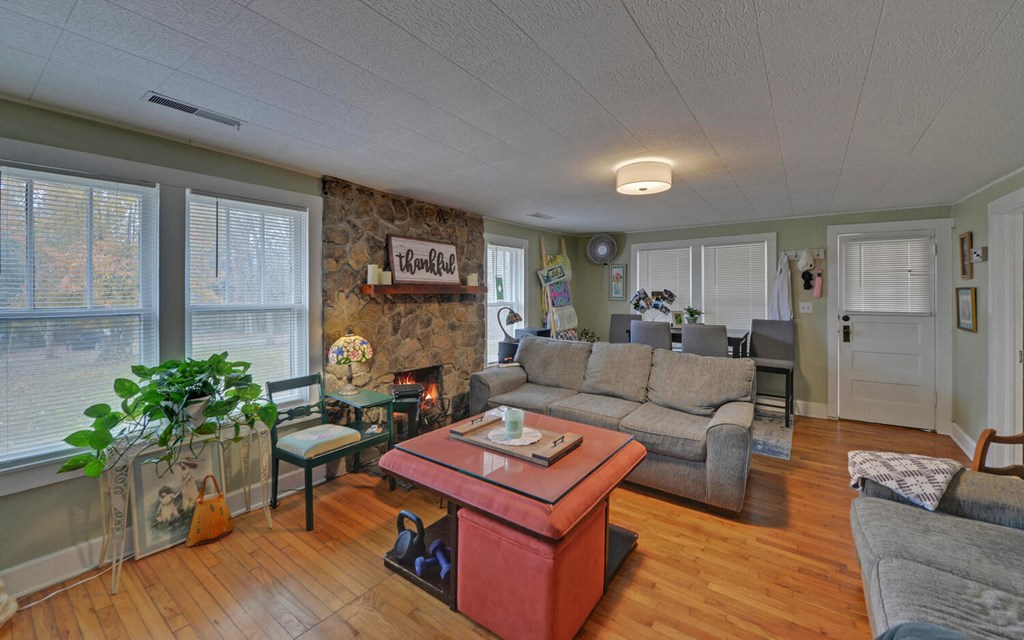 335 Elliott Road Murphy, NC 28906 - Photo 8 of 44 a living room with furniture and a potted plant