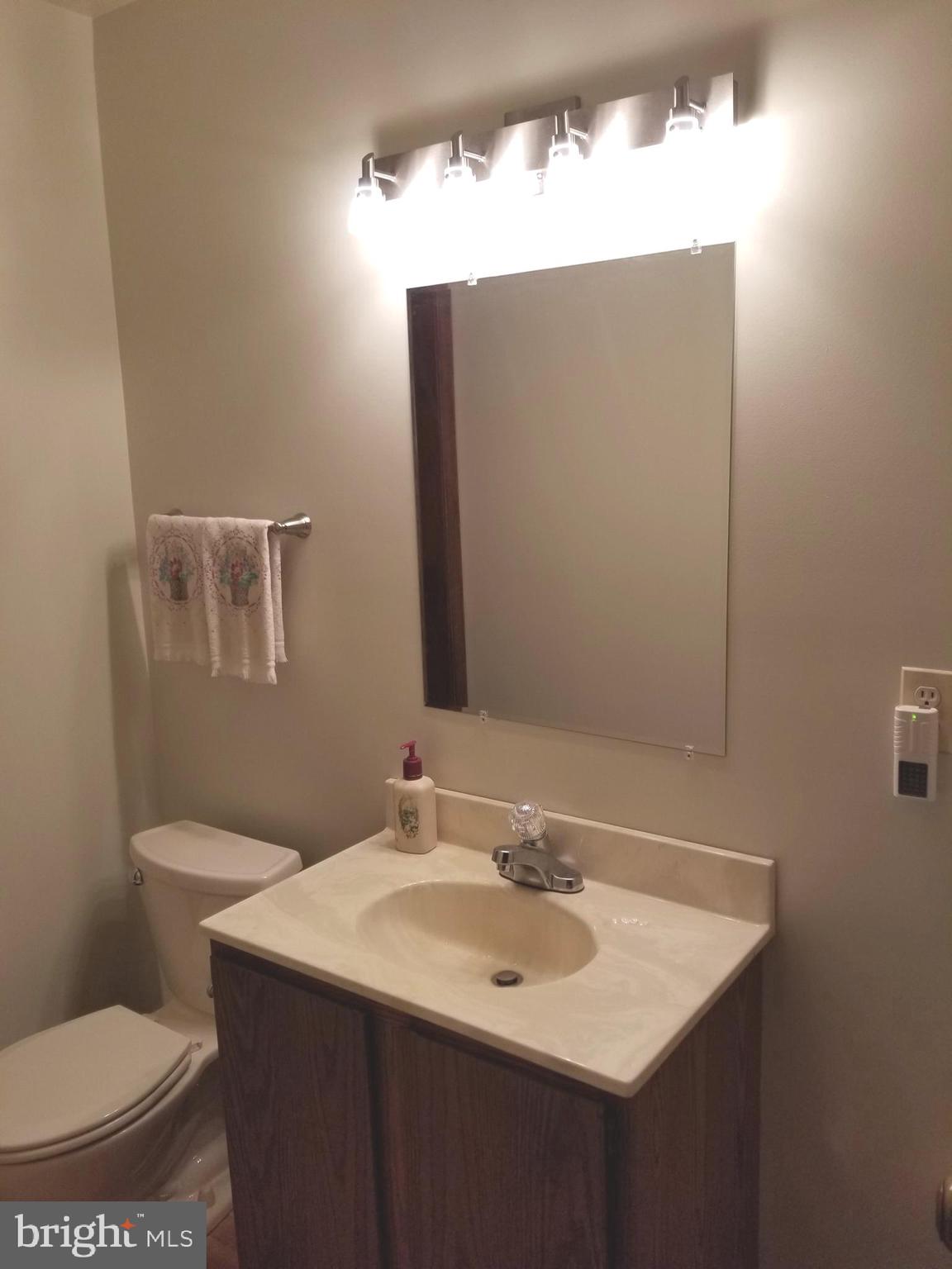 3795 Ashville Road Delaplane, VA 20144 - Photo 18 of 45 powder room