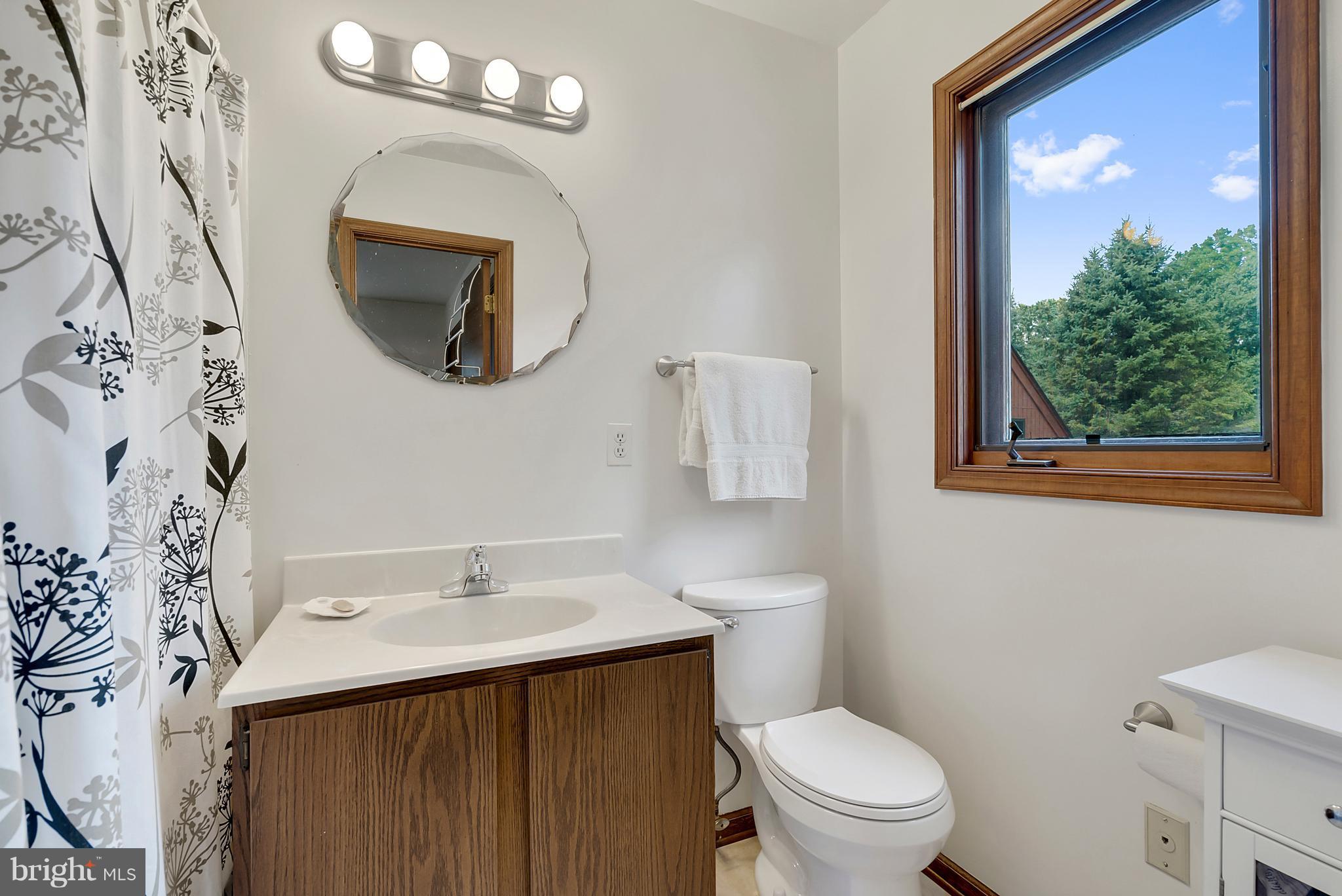 3795 Ashville Road Delaplane, VA 20144 - Photo 21 of 45 Master Bath