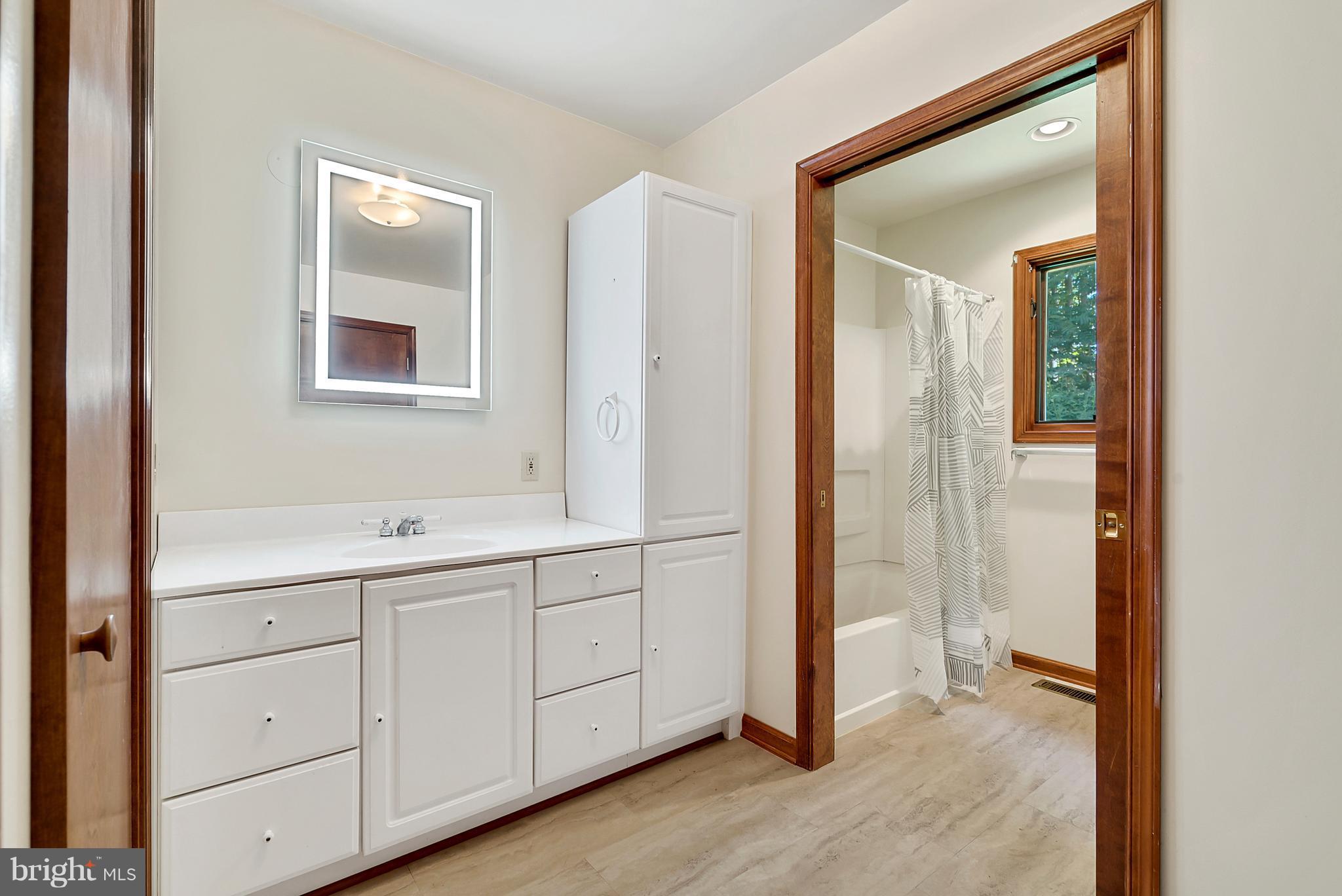 3795 Ashville Road Delaplane, VA 20144 - Photo 31 of 45 In Law Suite Bath