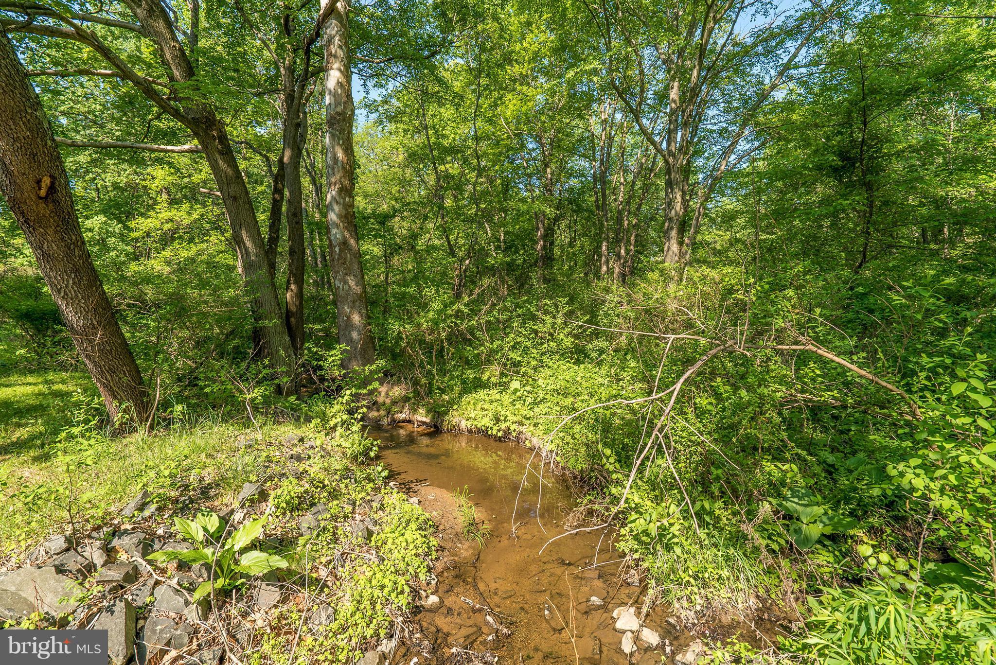3795 Ashville Road Delaplane, VA 20144 - Photo 38 of 45 stream