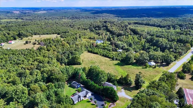 a view of a lush green field with lots of bushes