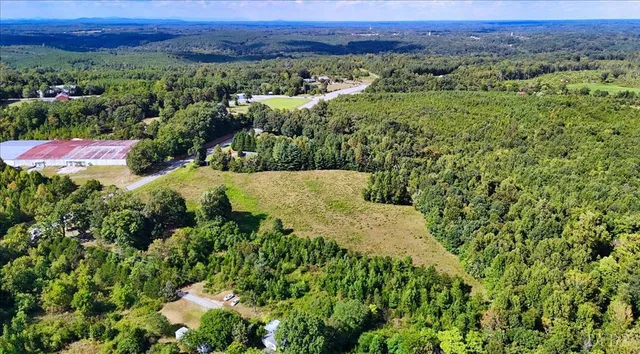 a view of a lush green field with lots of plants in it