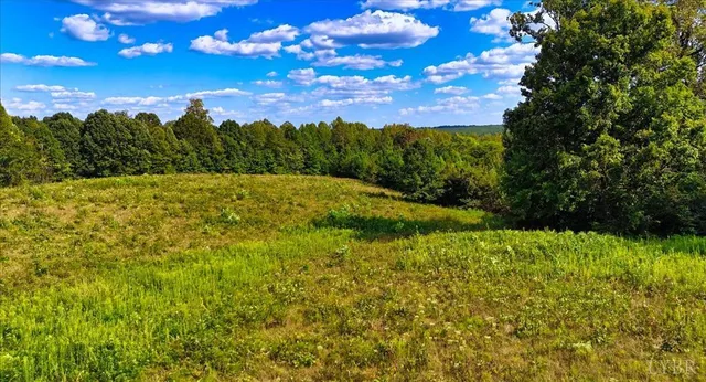 a view of a big yard with lots of green space