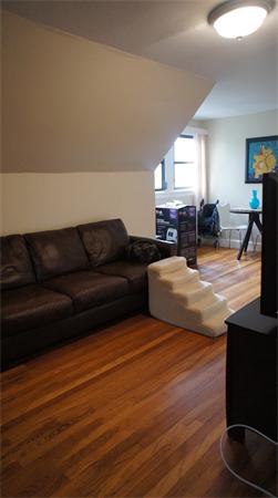 52 Lanark Road Boston, MA 02135 - Photo 9 of 10