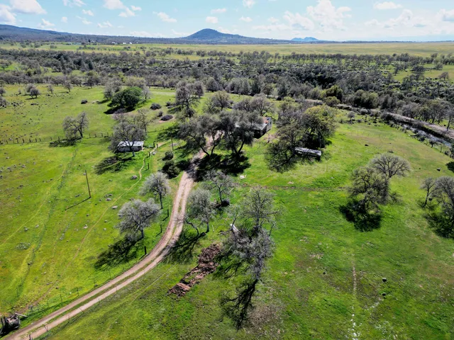 a view of a lake with large trees
