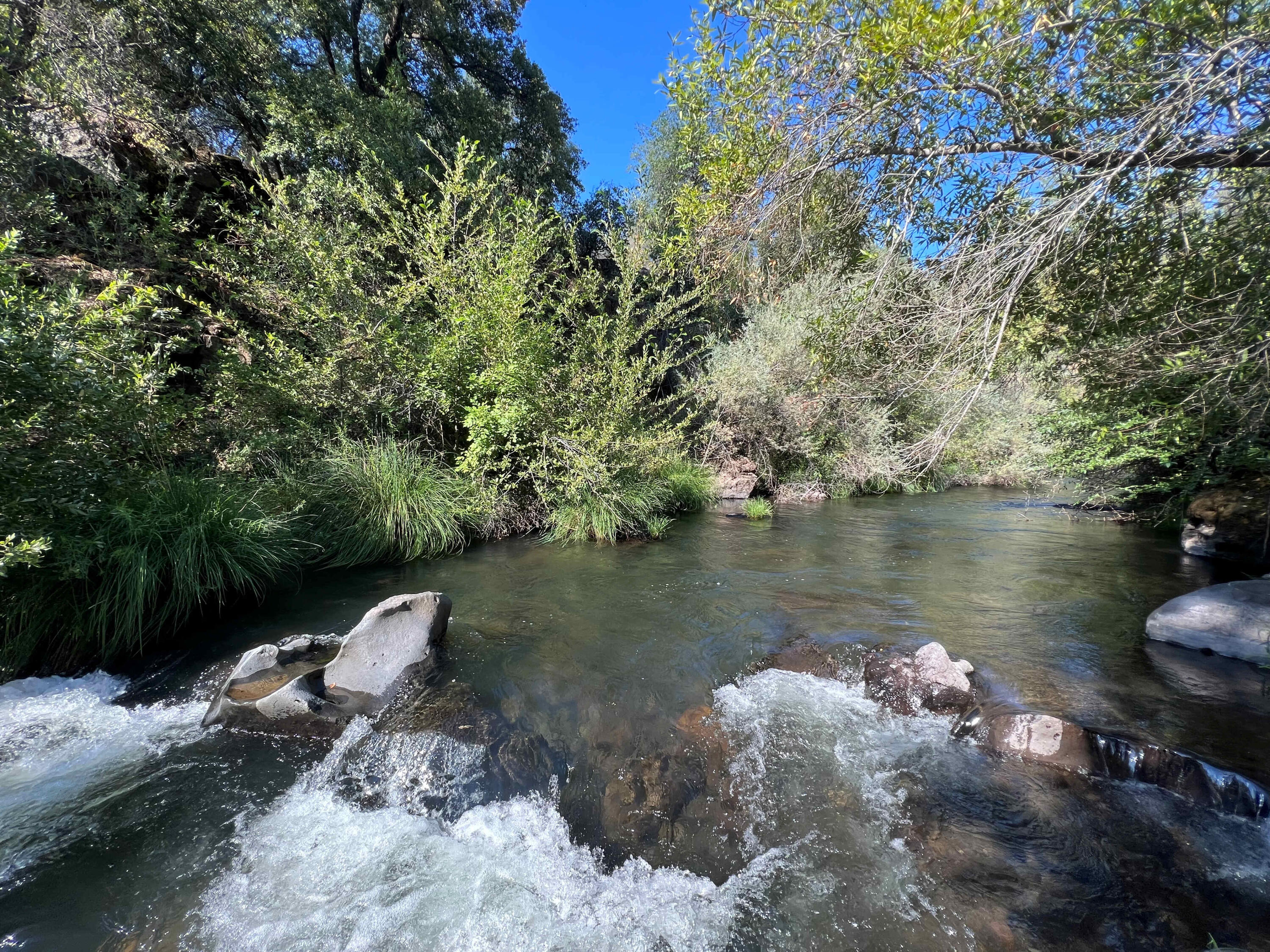 21675 Wildcat Road Shingletown, CA 96088 - Photo 12 of 65 Battle Creek shot