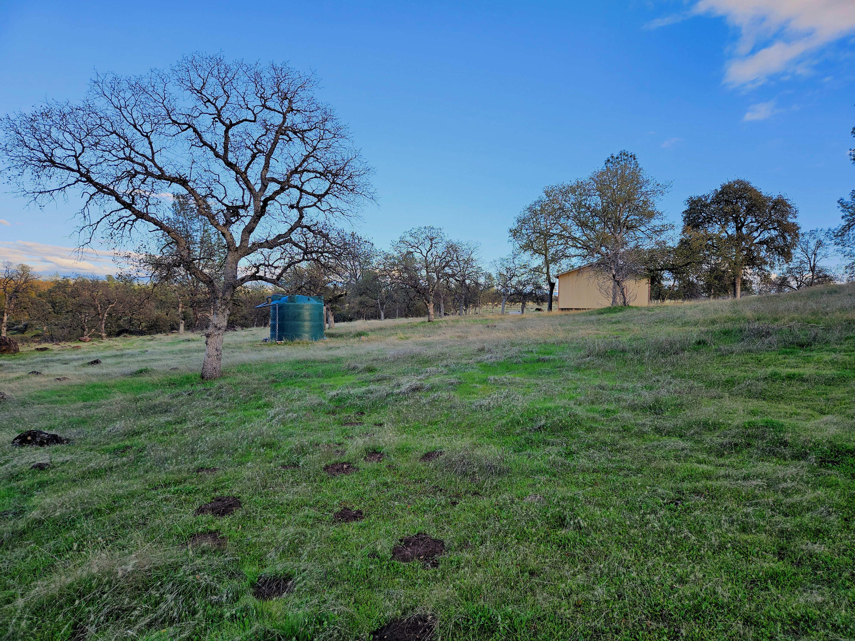 21675 Wildcat Road Shingletown, CA 96088 - Photo 13 of 65 Water tank on shop-shed