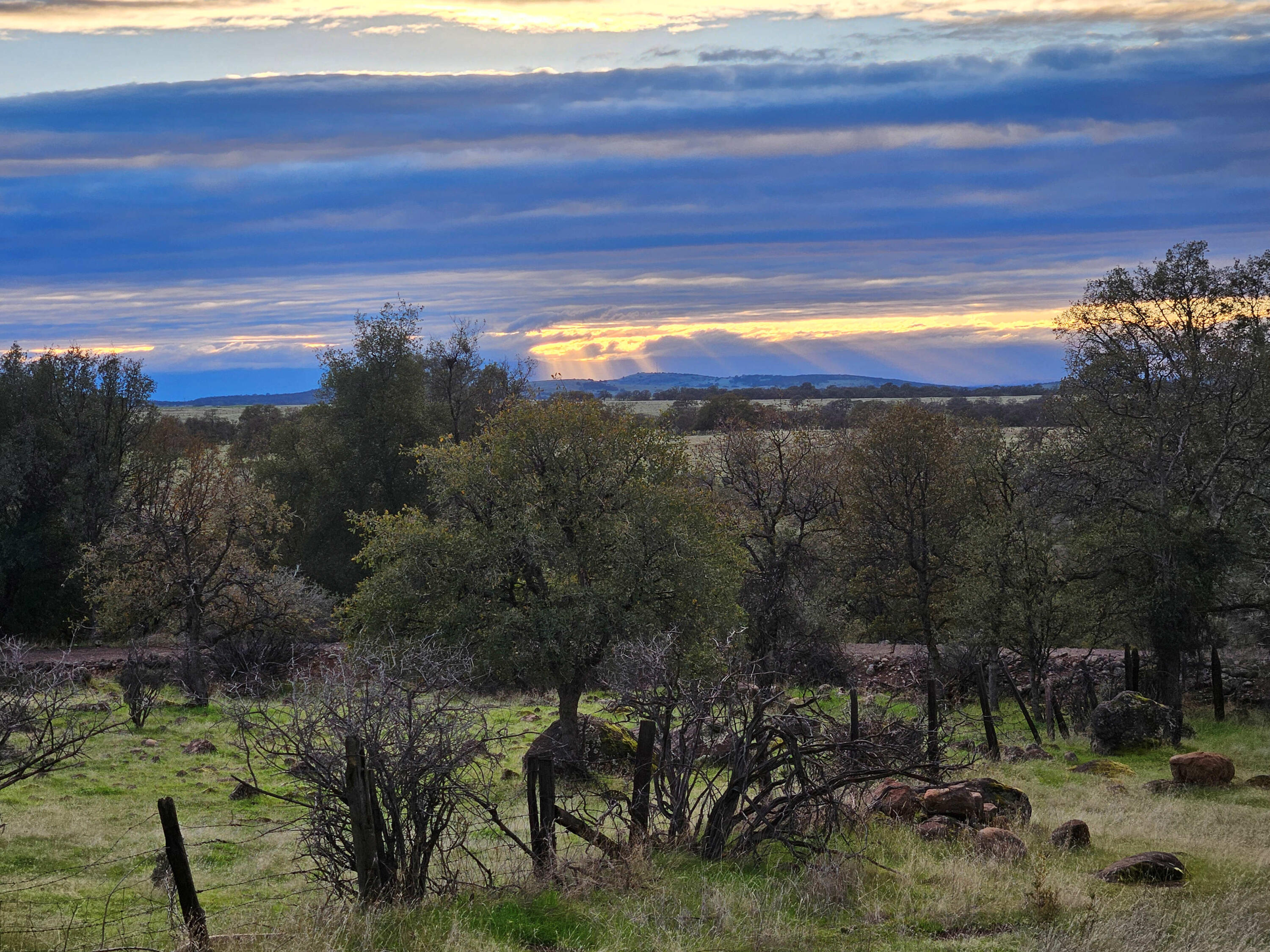 21675 Wildcat Road Shingletown, CA 96088 - Photo 16 of 65 Western view