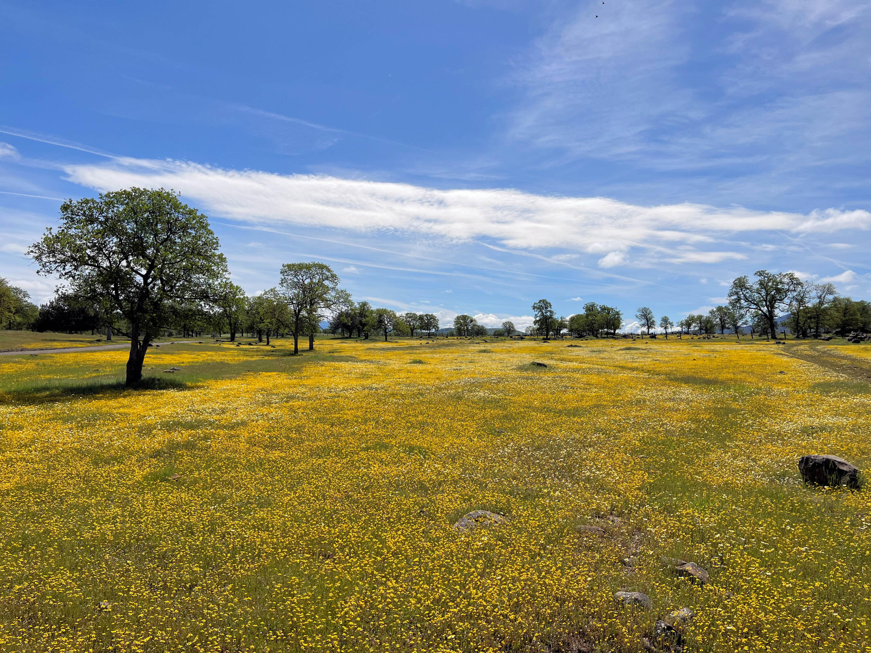21675 Wildcat Road Shingletown, CA 96088 - Photo 17 of 65 a view of an ocean from a balcony