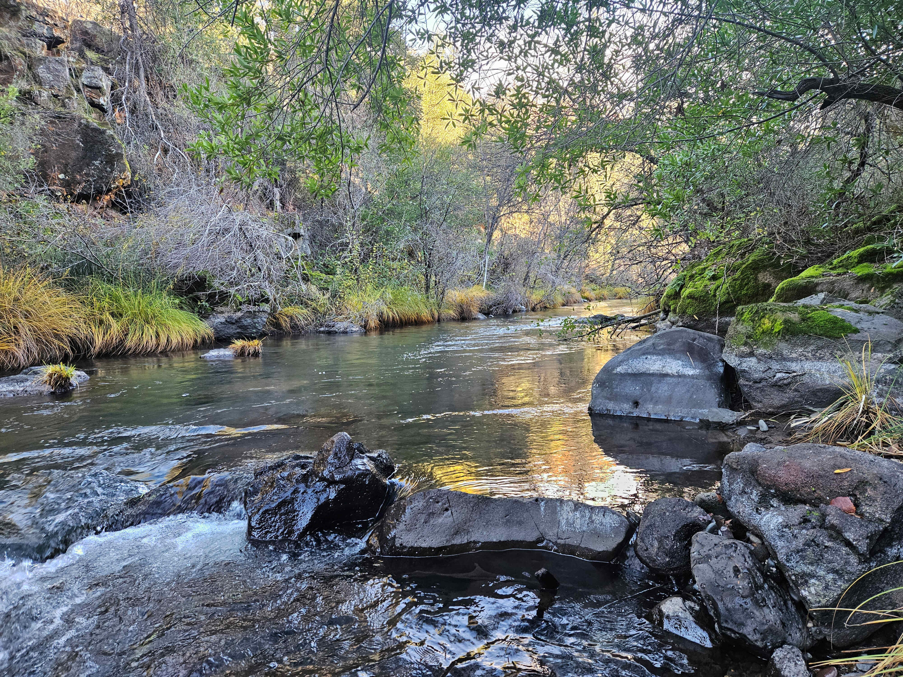 21675 Wildcat Road Shingletown, CA 96088 - Photo 2 of 65 a view of a lake with large trees