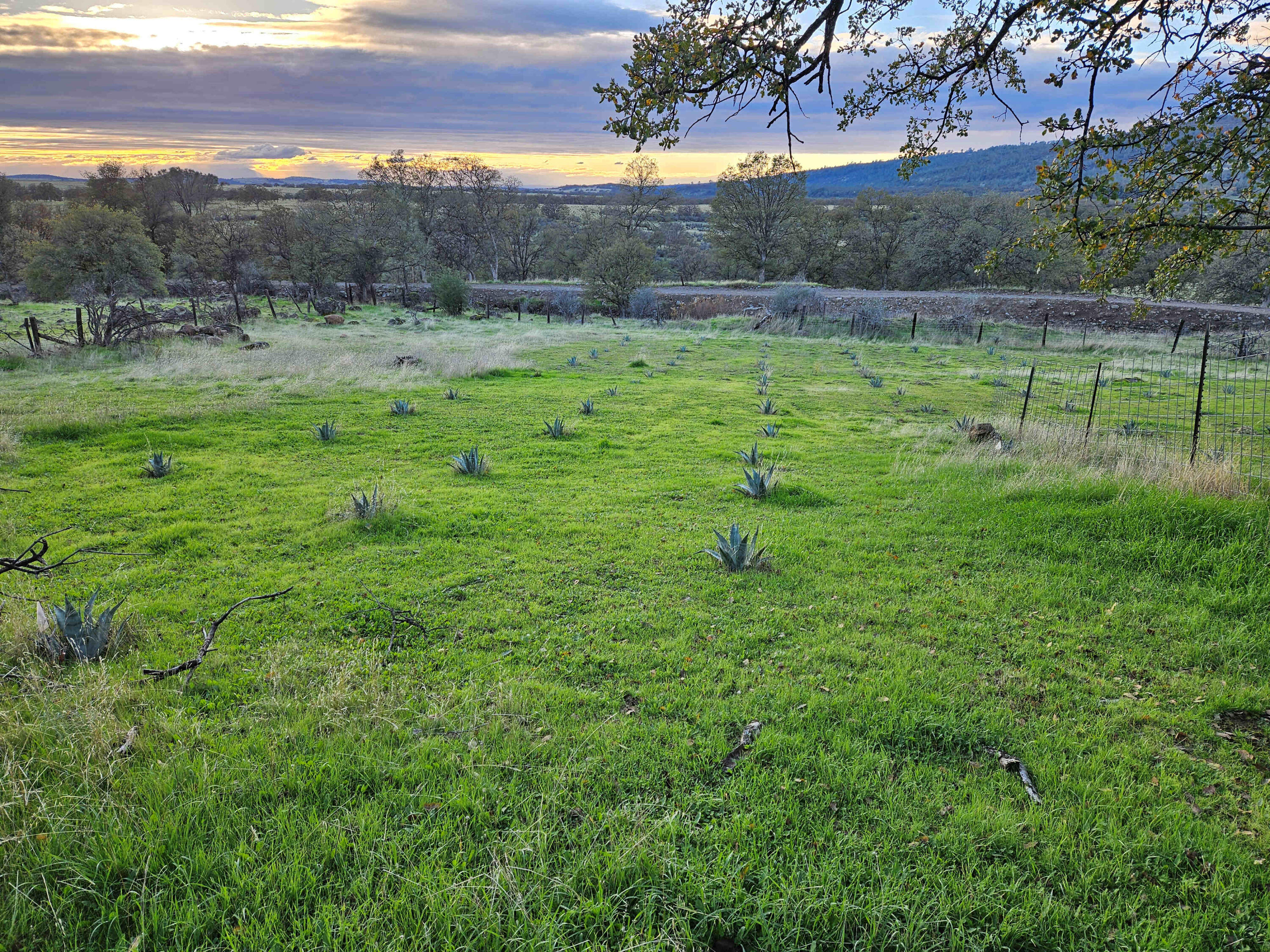 21675 Wildcat Road Shingletown, CA 96088 - Photo 21 of 65 a view of an outdoor space with a lake view