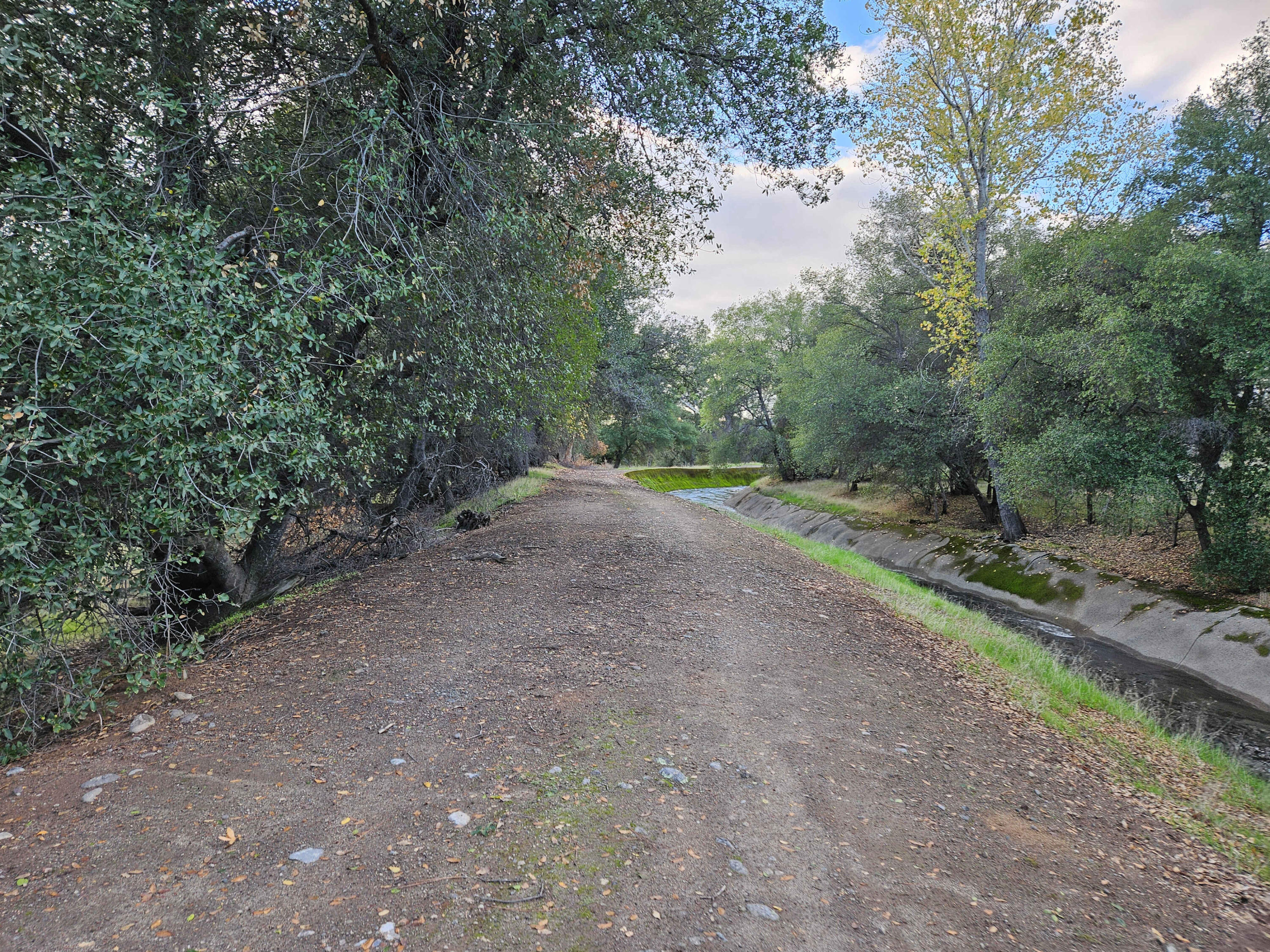 21675 Wildcat Road Shingletown, CA 96088 - Photo 25 of 65 a view of outdoor space and yard