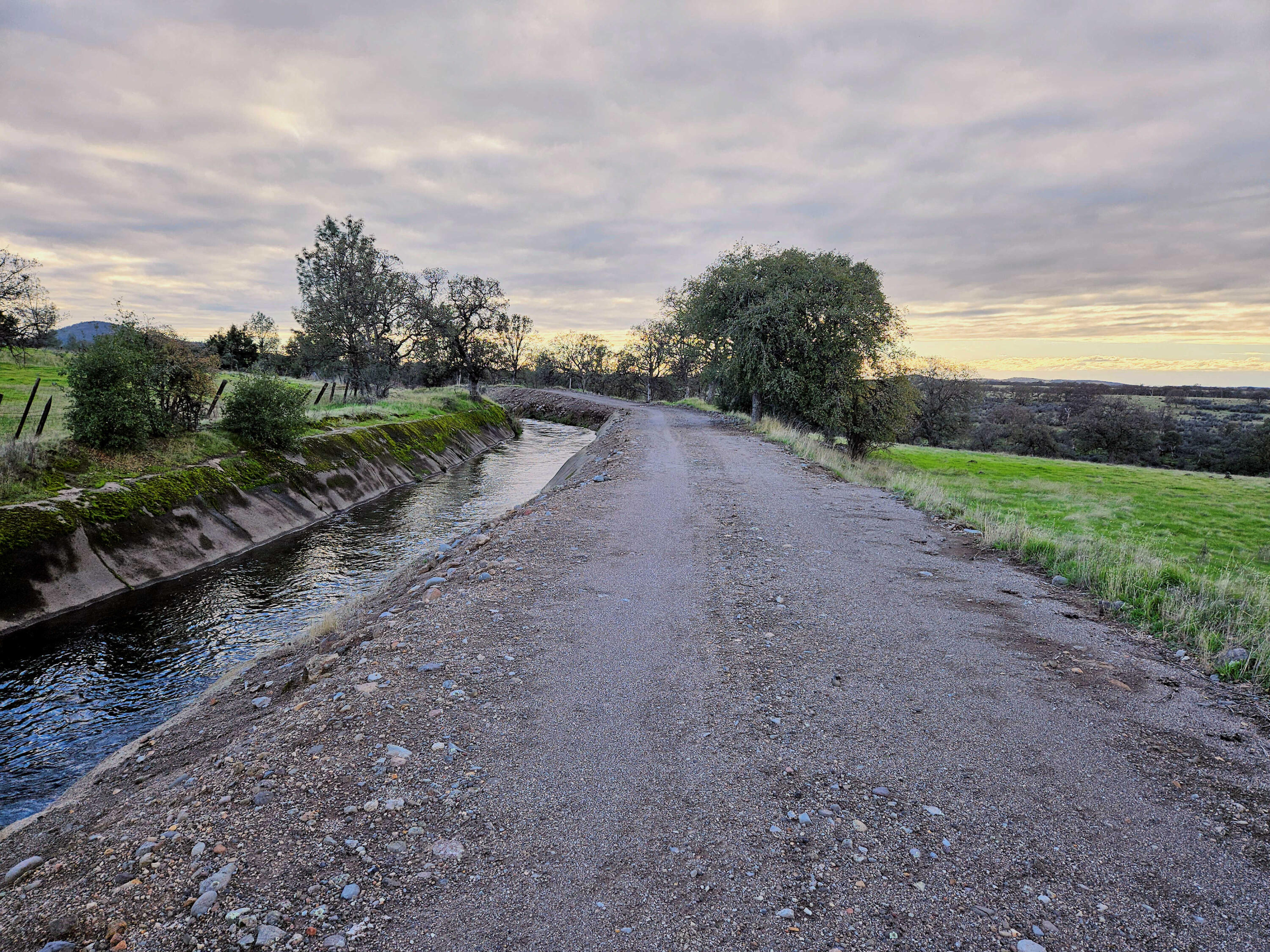 21675 Wildcat Road Shingletown, CA 96088 - Photo 26 of 65 a view of a yard with a lot of trees