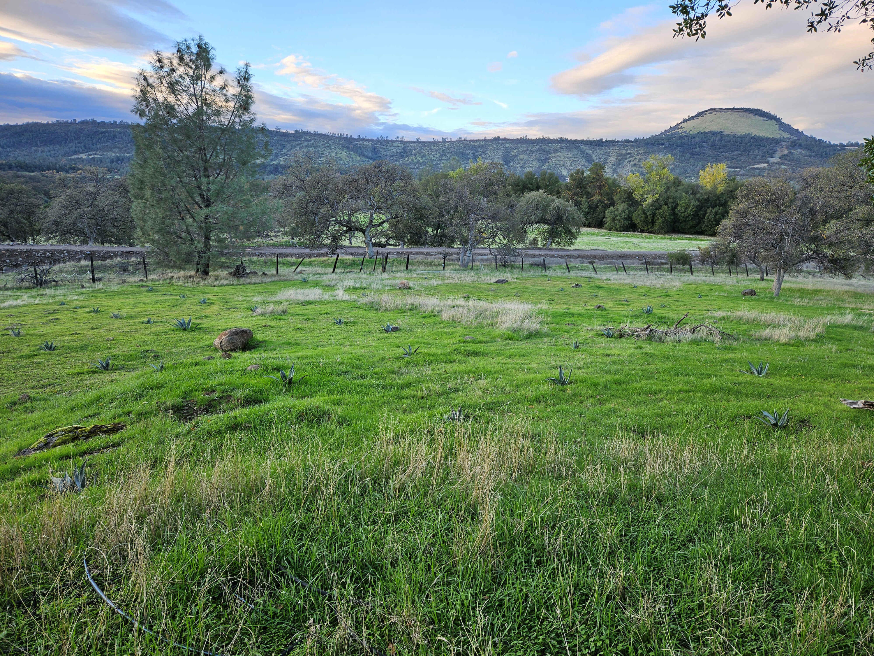 21675 Wildcat Road Shingletown, CA 96088 - Photo 30 of 65 a view of outdoor space with mountain view