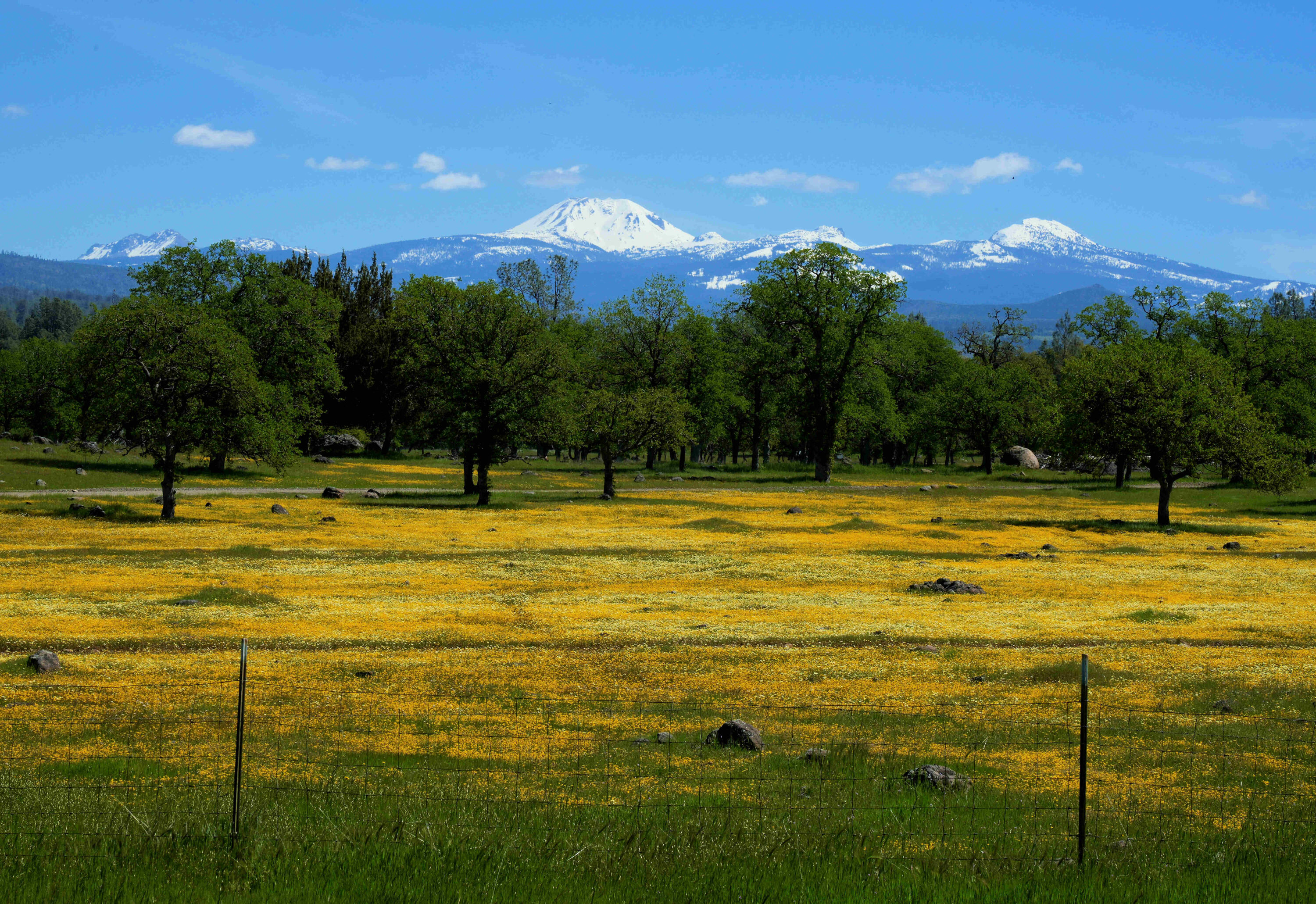 21675 Wildcat Road Shingletown, CA 96088 - Photo 3 of 65 a view of a swimming pool with an outdoor space and seating area