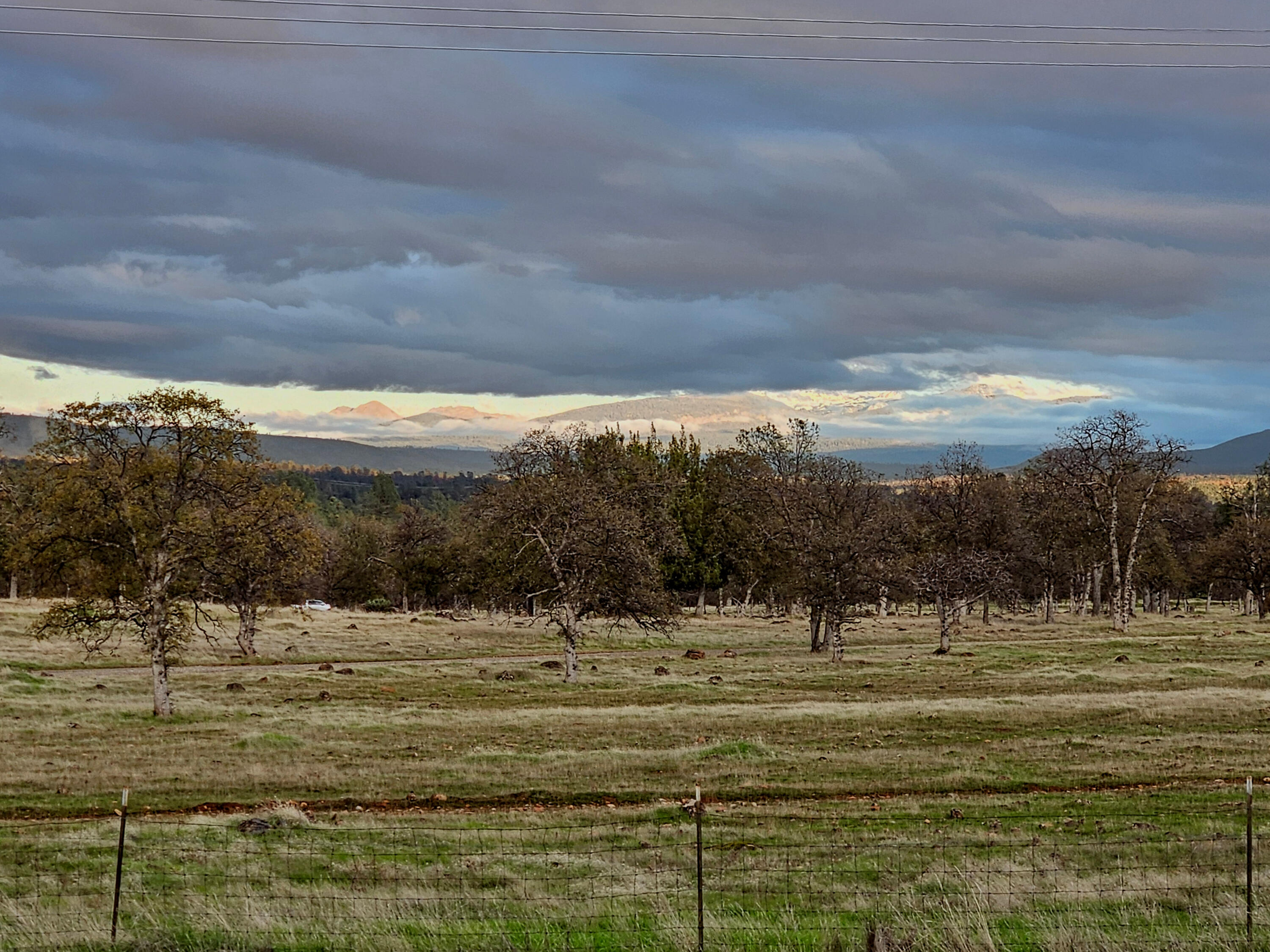 21675 Wildcat Road Shingletown, CA 96088 - Photo 31 of 65 a view of a large building with large trees